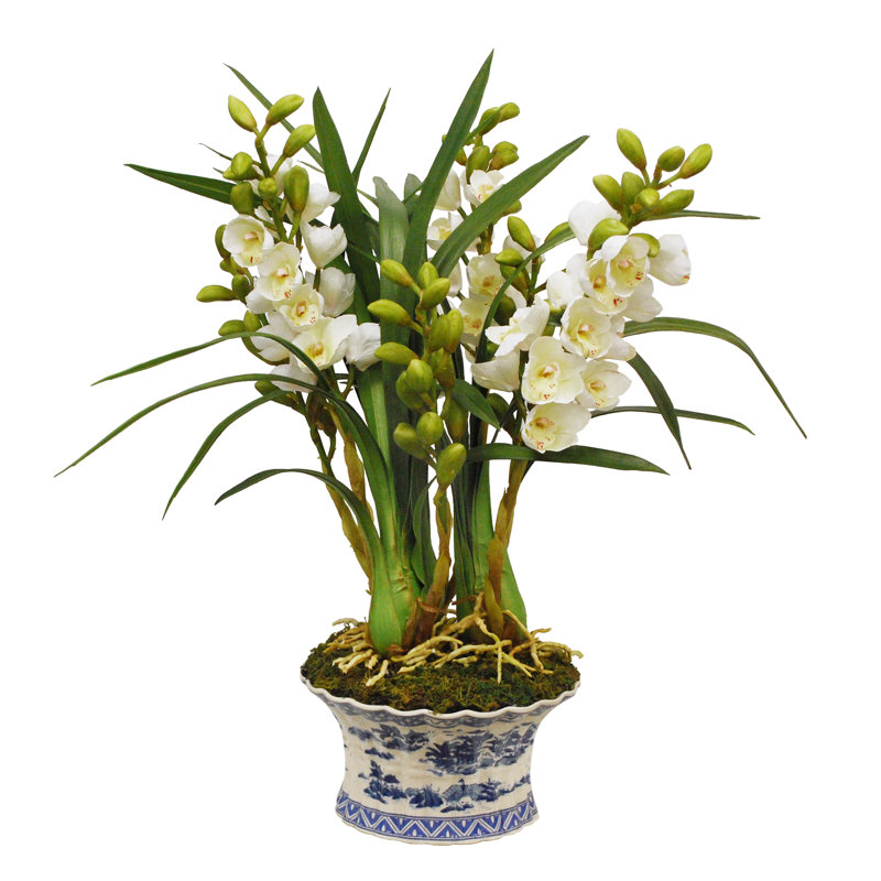 Winward Silks Cymbidium Orchid In Oval Pot Wayfair